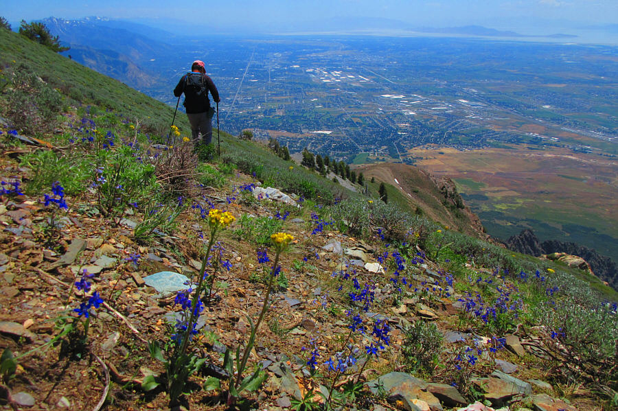 This is gonna be easier than I thought!