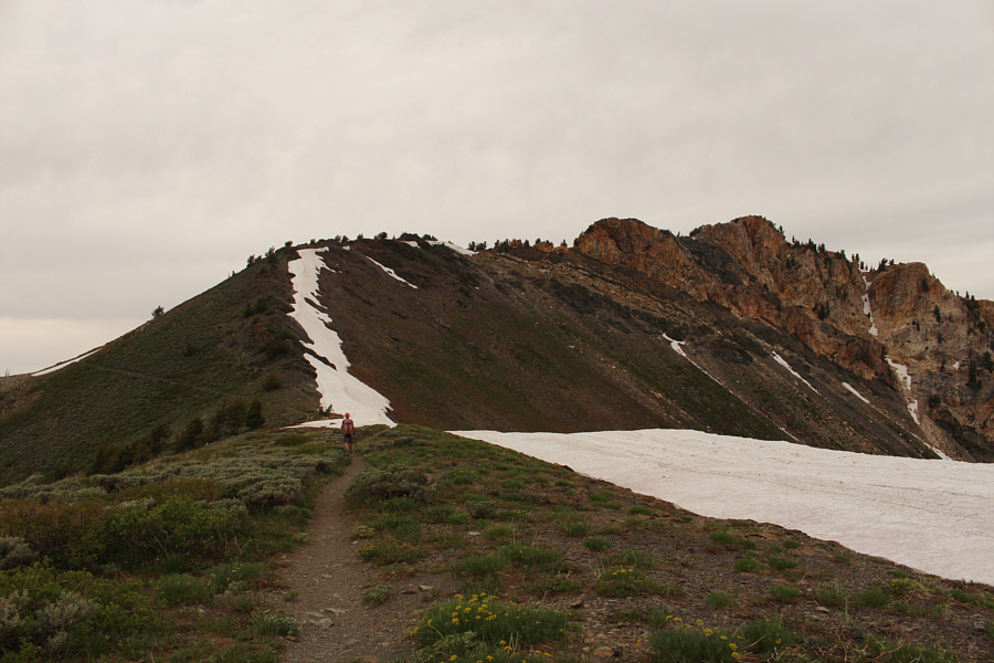 We should have taken the same game trail on the way back...