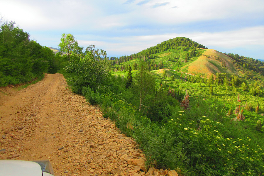 The road doesn't look so bad here, but trust me, it's bad enough!