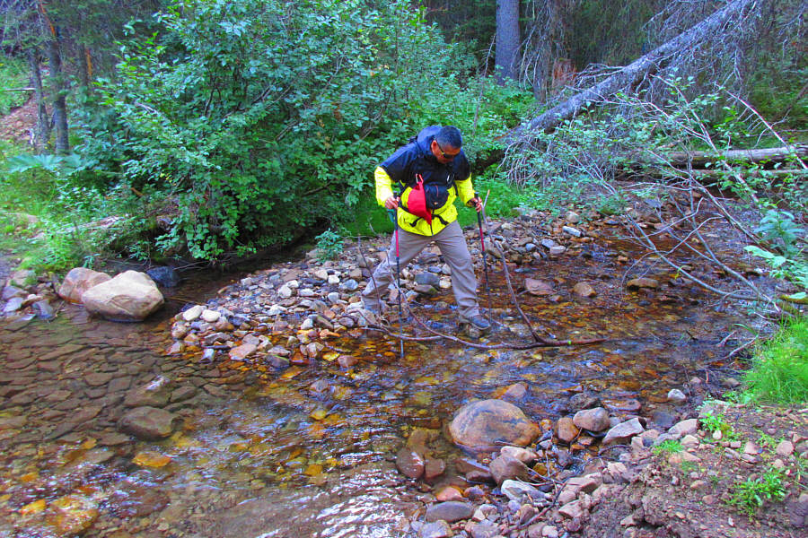 That tree branch sticking out of the water made it a little tougher to cross!