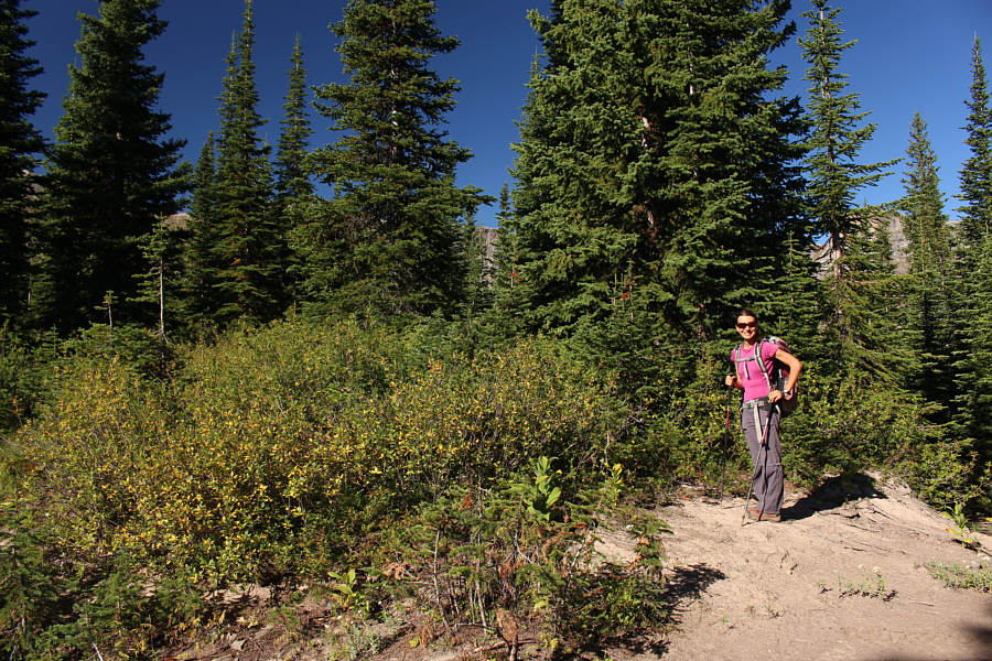 Fortunately, the bushwhacking is not as bad as it looks here.