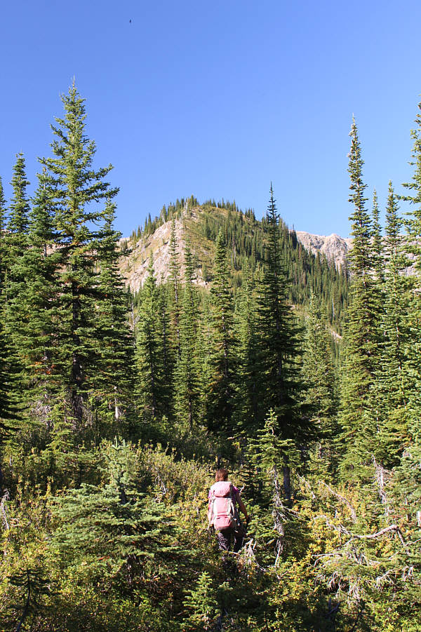 It's steeper than it looks.