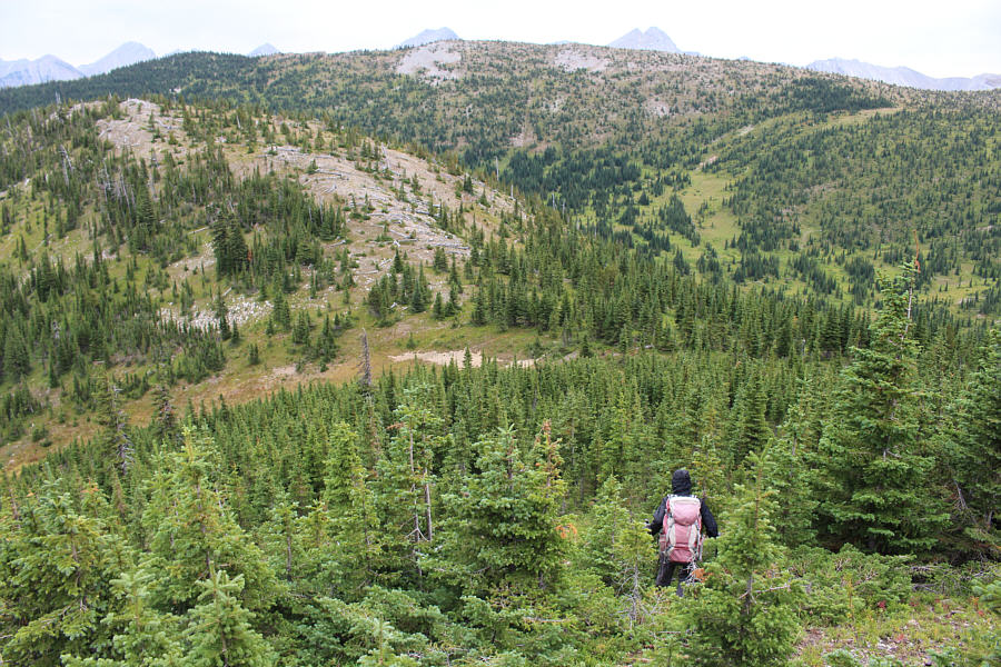 No thrashing necessary!