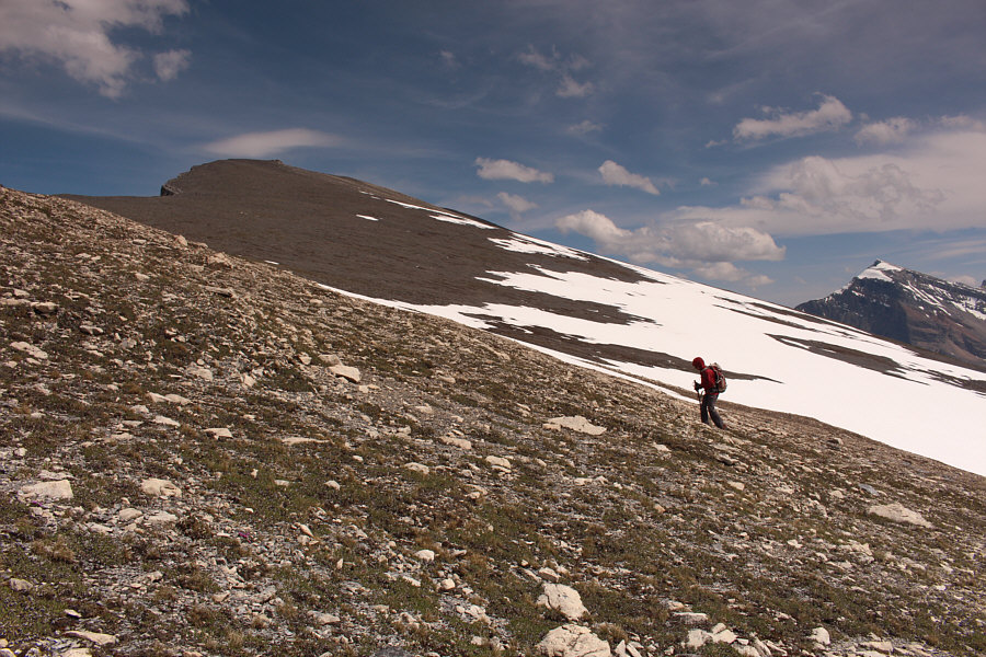 Still some plodding ahead...