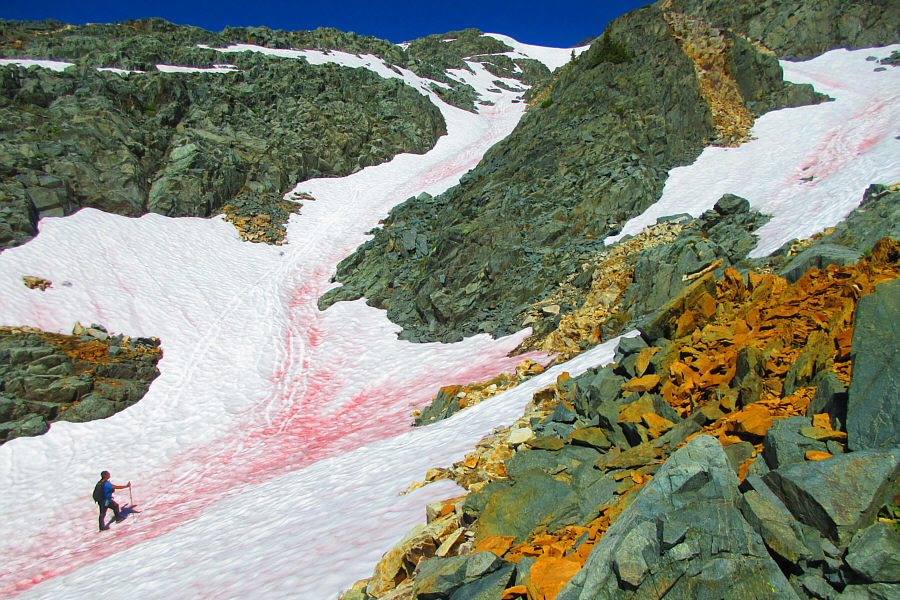 Are those bloody smears from previous glissaders?