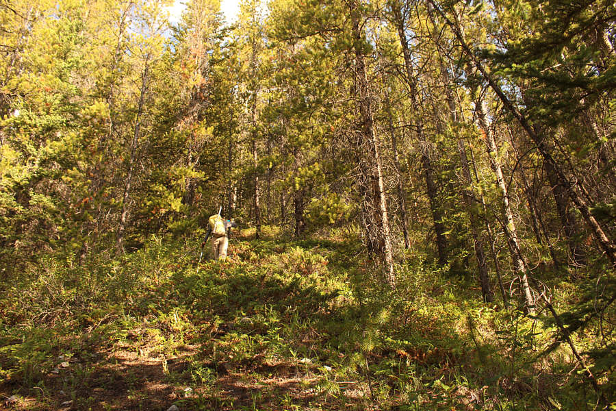 Bloody steep though!