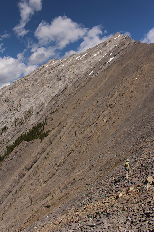 Piece of cake with a game trail, right?