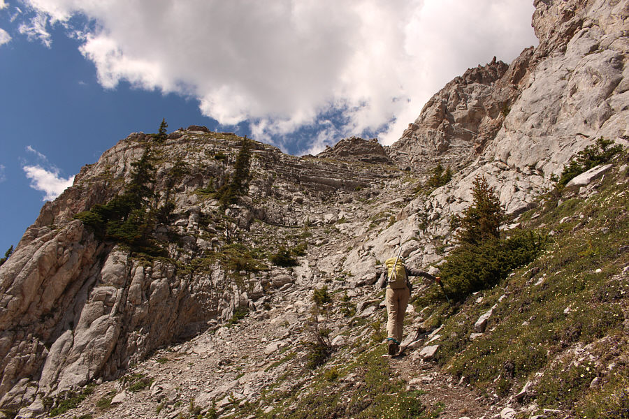 The sheep followed us up here!