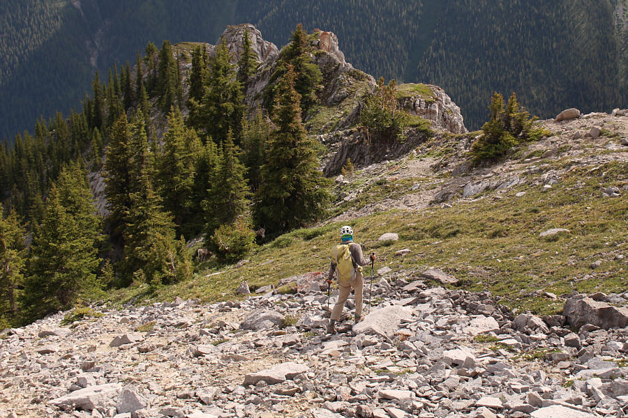 Hmmm...none of these sheep were wearing COVID-19 masks!