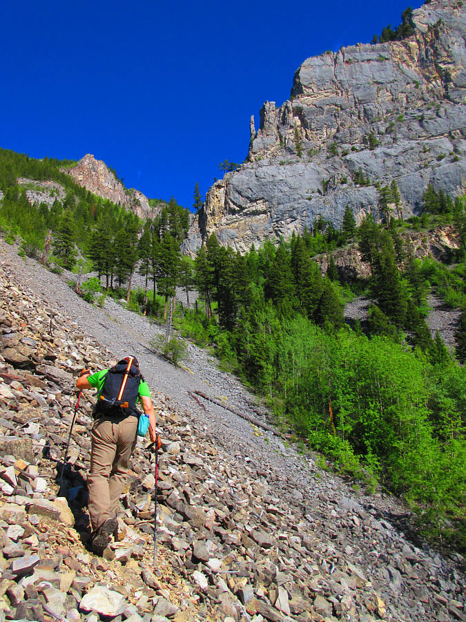 Boy, a trail would be nice right about now!