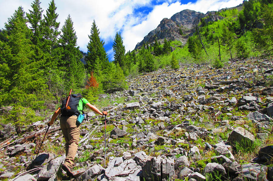 Doesn't look good up ahead!