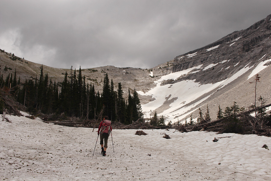 Interestingly, there is a lot of twisted avalanche debris in this valley.