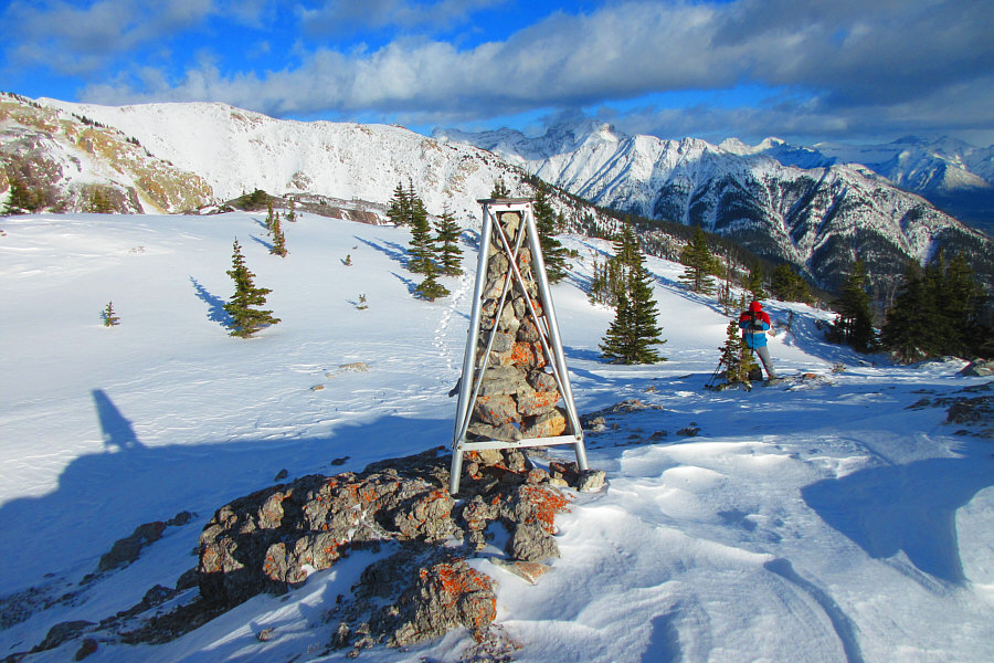 I'm impressed at how well they stuffed the rocks inside the frame!