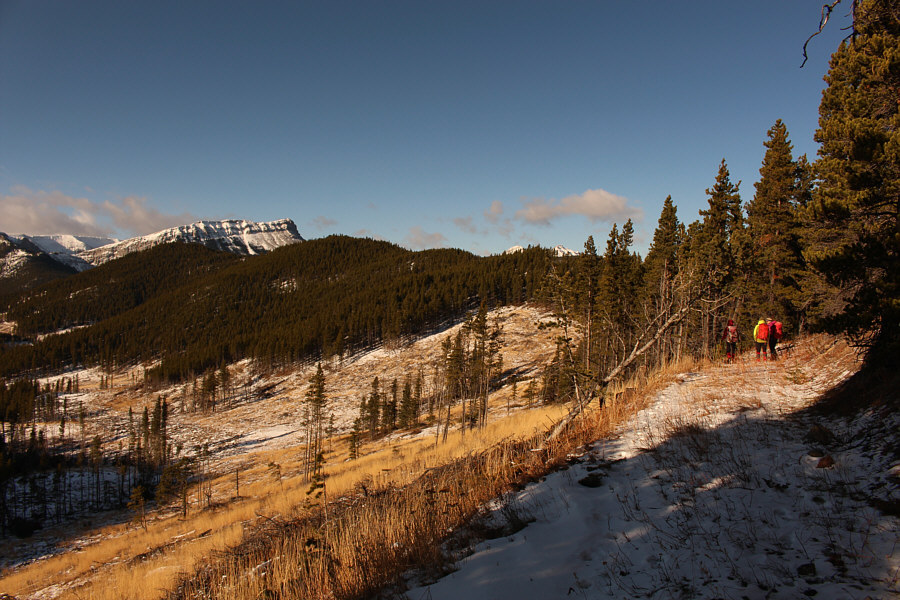 More ups and downs to come...sigh.