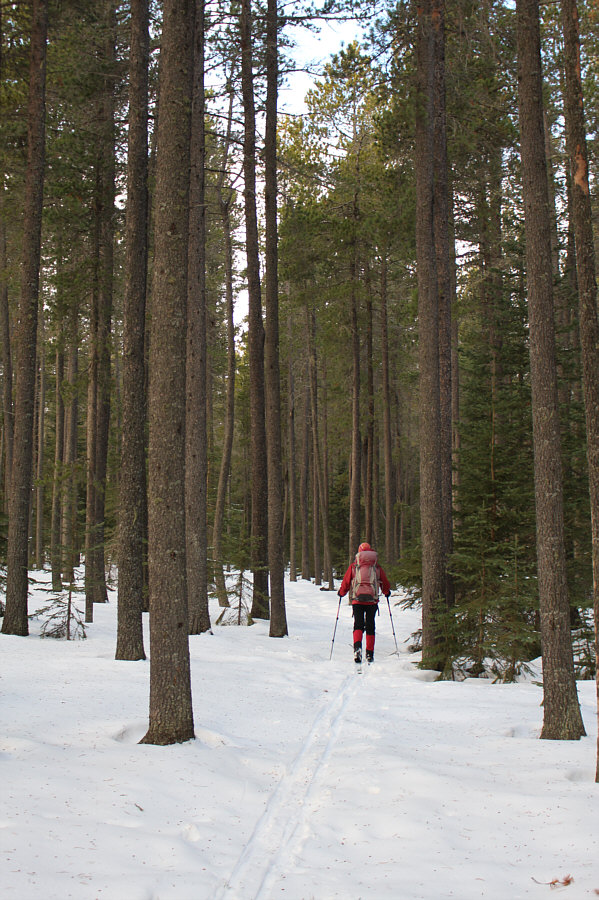 The skiing was not as good here (snow was too sticky).