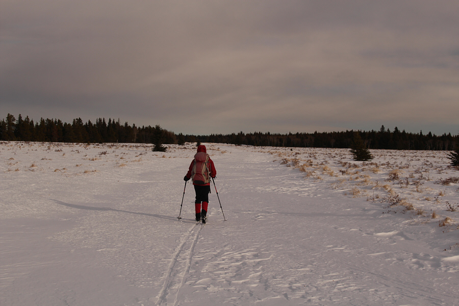 At least we now have the wind at our backs!