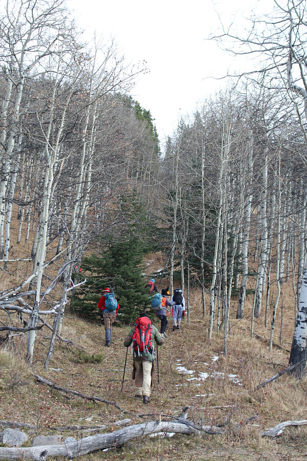 Stiffest climb of the day!