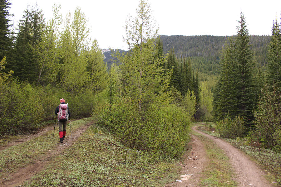 Sure, I could've driven further, but we're here to hike, right?