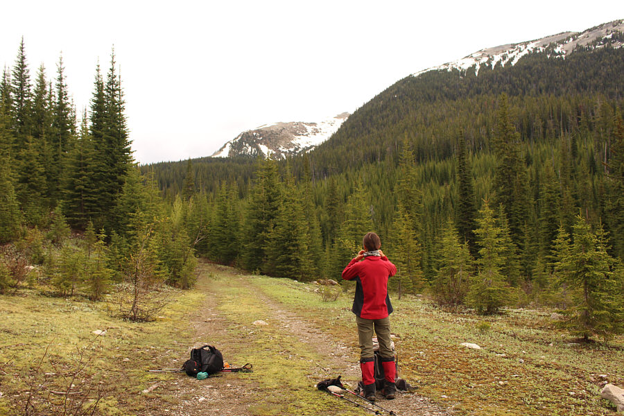 Hmmm...that snow at tree line doesn't look very inviting...
