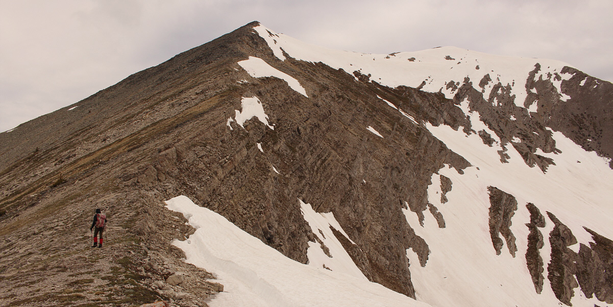 Looks like clear sailing from here...