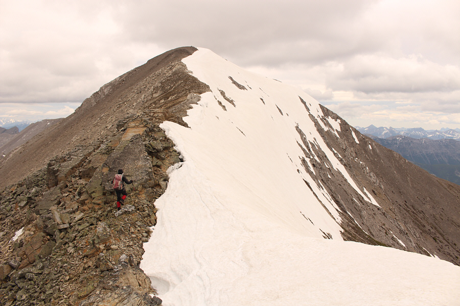 I think we'll make it!