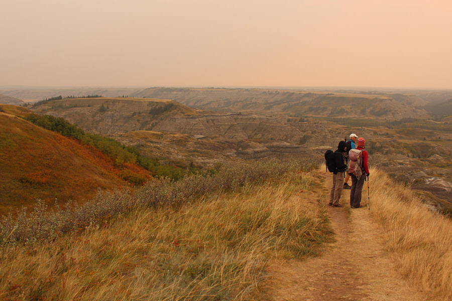We're assured of not stepping in cow dung there!