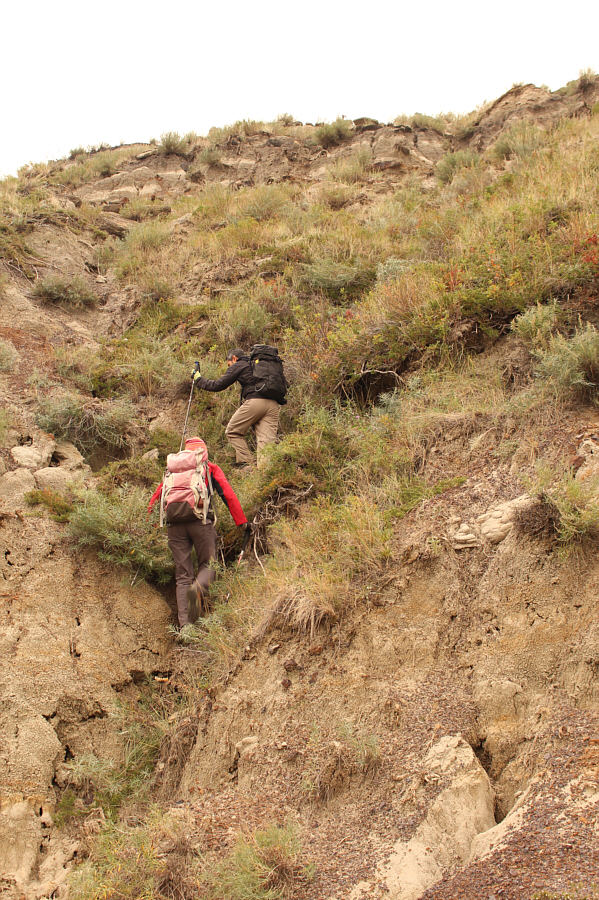 There are some disturbing holes in the dirt here...