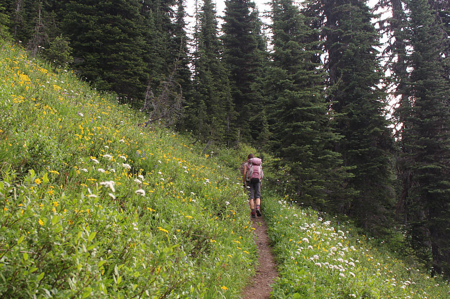 You'll be thankful for the forest if there is a hot afternoon sun!