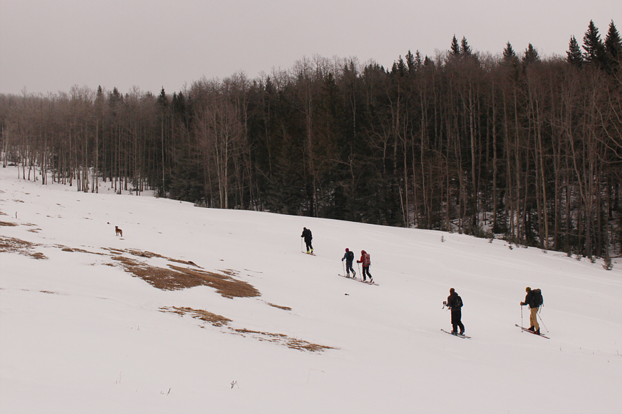 I managed to climb back up without skins!