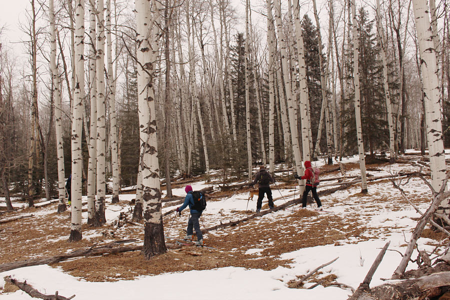 On the bright side, avalanche danger here is low!