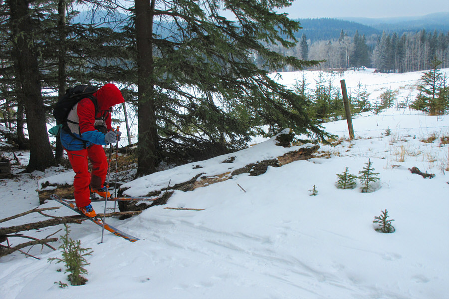 It's all about the balance!