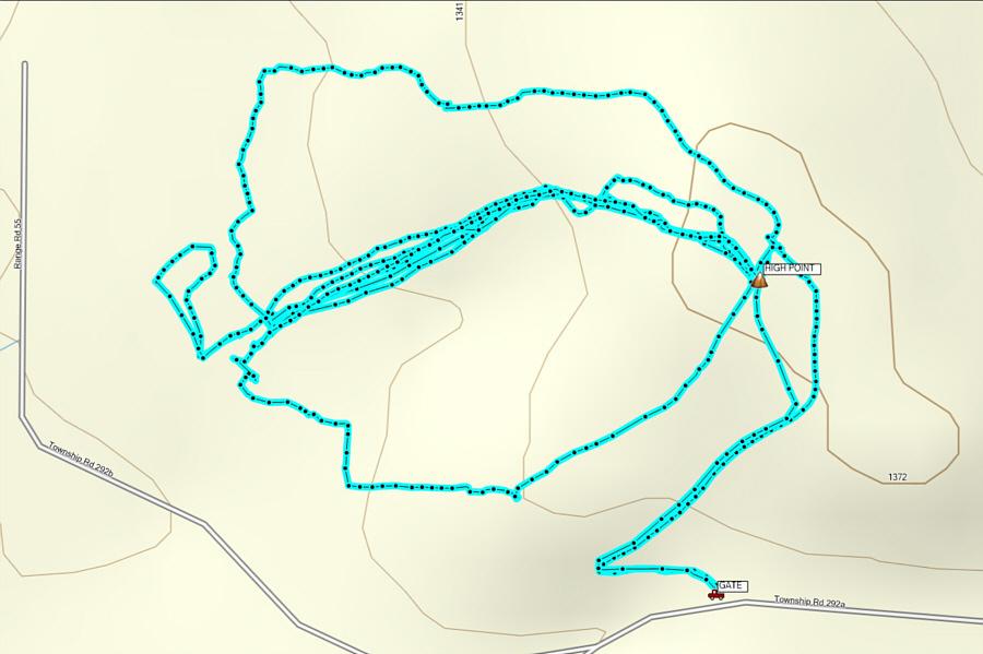 This turned out to be a better ski day than expected!