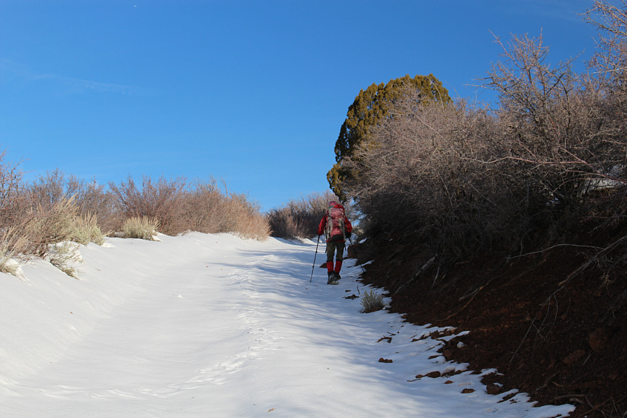 Snowshoes would not have been out of place here!