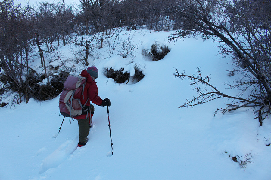 We should have pulled the plug and gone elsewhere!