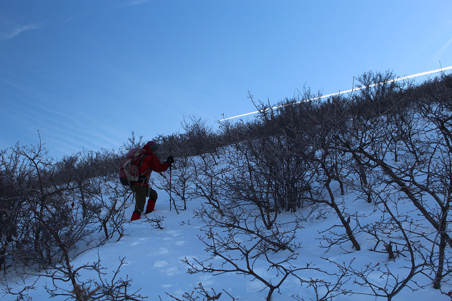 Definitely Type 3 "fun"!