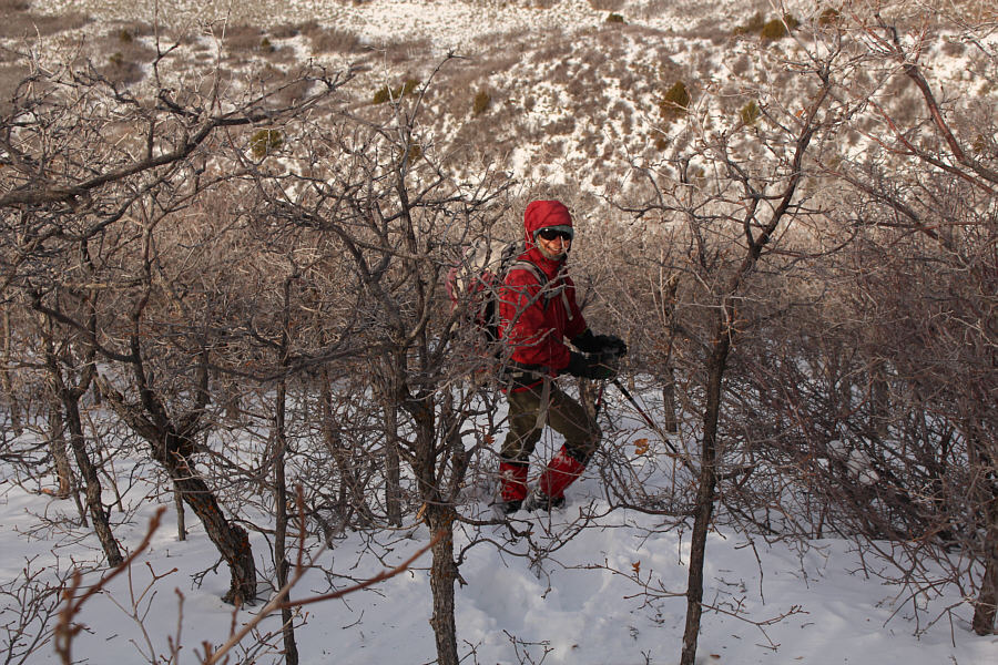 At least it's easier going down than going up!