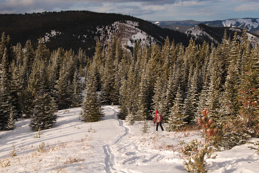 We definitely had a few scratches on the bottoms of our skis.