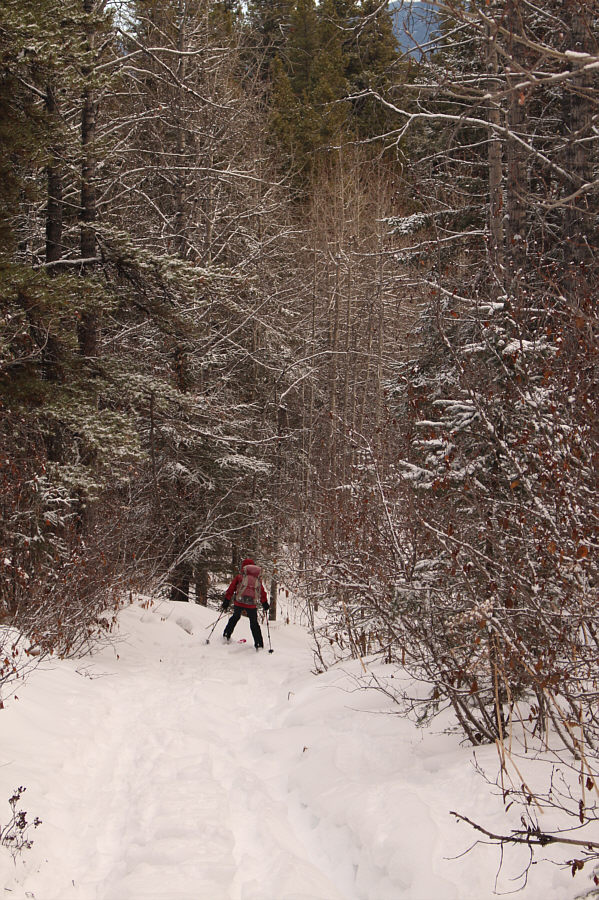 We basically telemarked with our AT gear the whole way back!