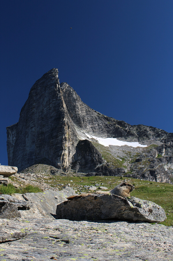 Not creepy--just cute!