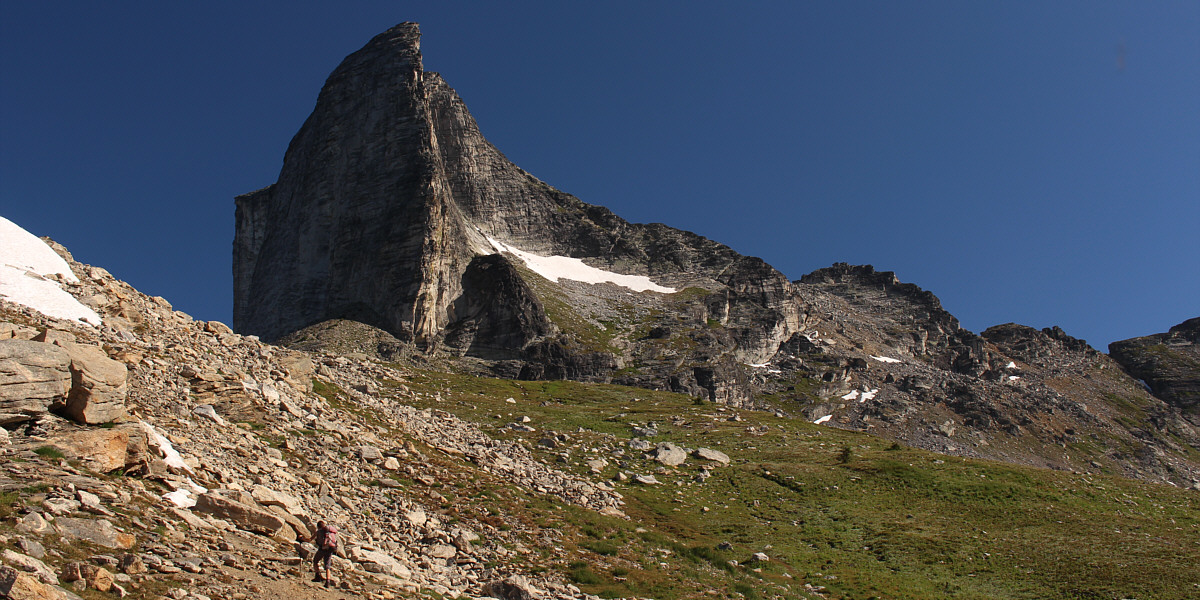 It's hard to ignore such a good trail though!