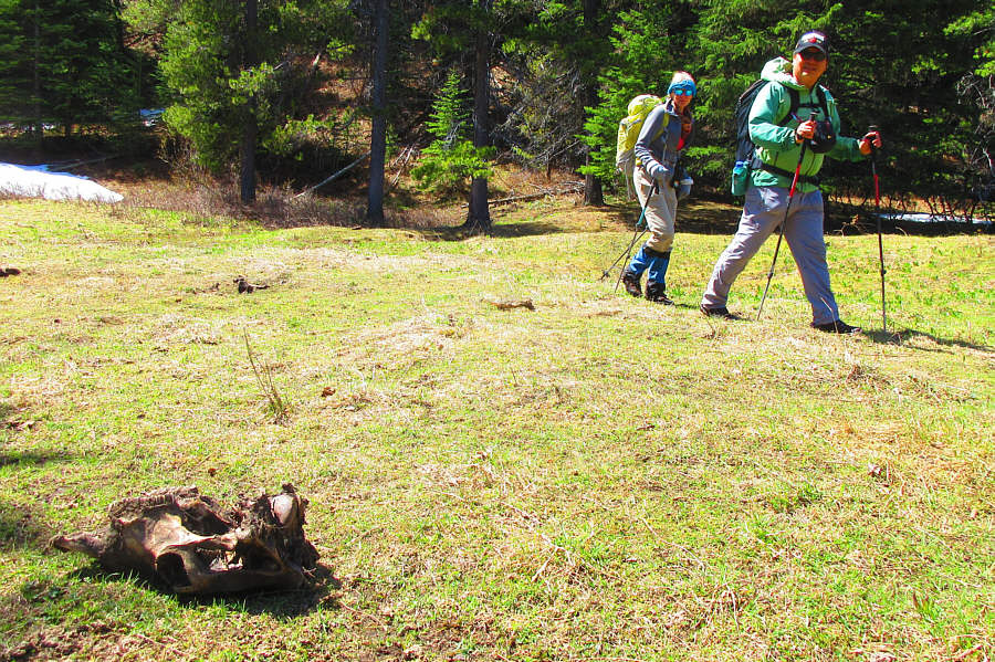 Yep, it was stinky, so we hastily vacated the area.