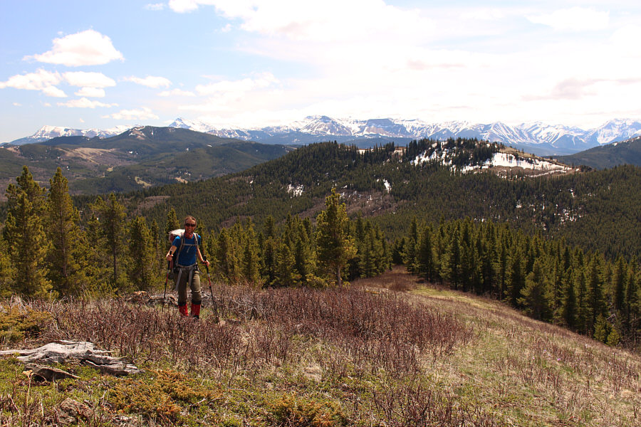 Seemed like a lot of effort to get from Ginger Hill to here...