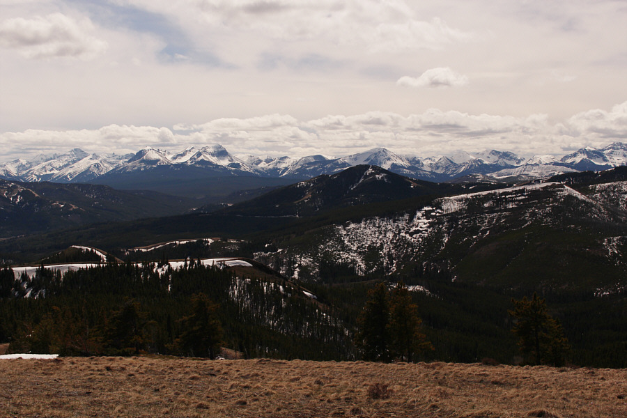 Sorry, but Maverick Hill will have to wait for another day.