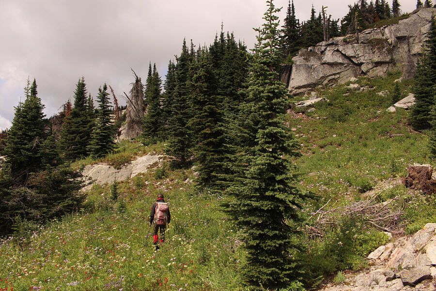 Scrubby and somewhat unpleasant terrain here.