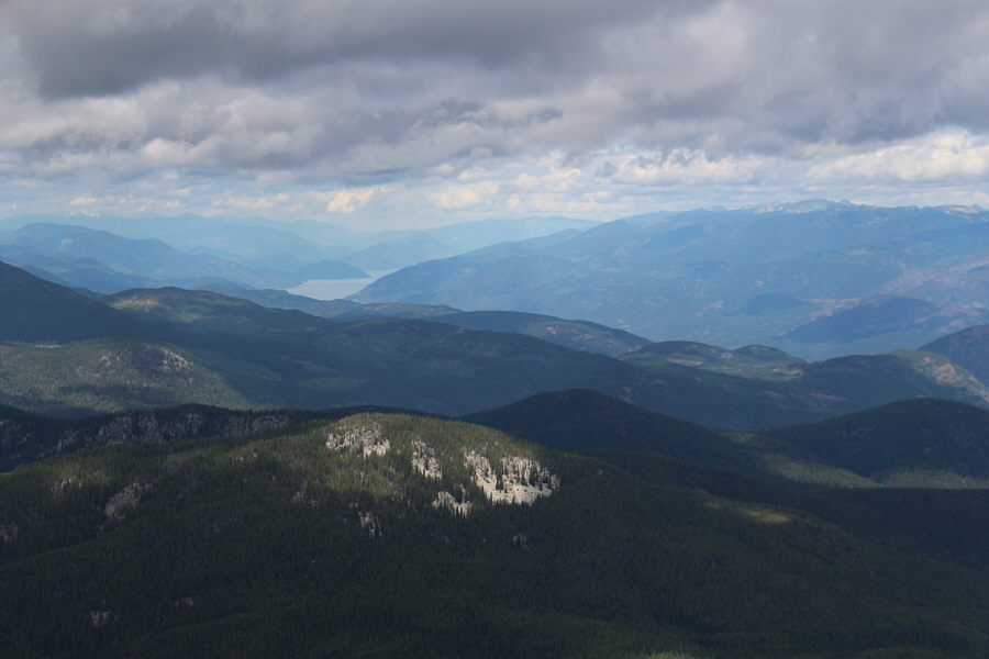 Doesn't even look real!