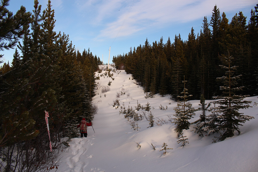 And this is only the beginning...