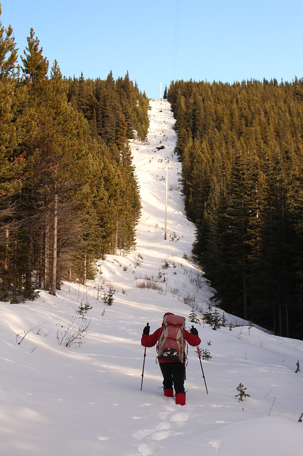 Not as bad as we thought it would be but bad enough!