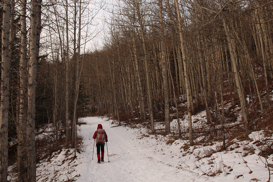 Not quite enough snow for skiing...