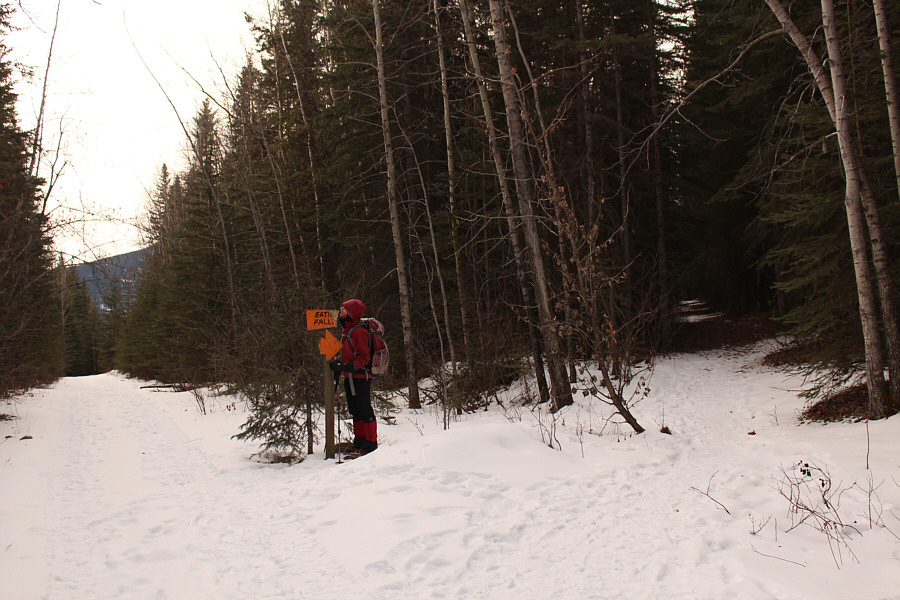 The sign is half eaten!