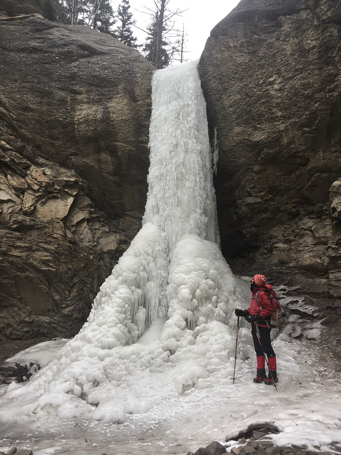 Reminds me of the speleothems found in caves.